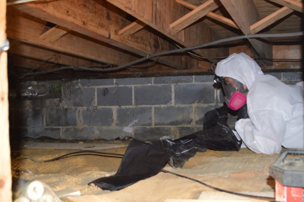 A man in a white suit and pink mask is engaged in mold removal in a basement crawl space located in Joliet, IL.