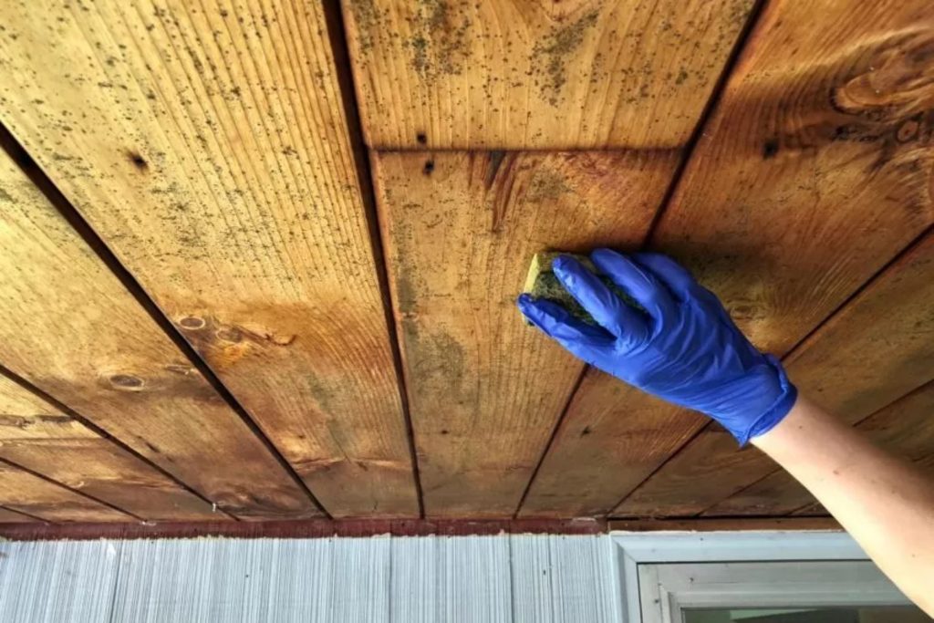A person in blue gloves is painting a wooden ceiling, showcasing a wood mold removal service in Joliet, IL.