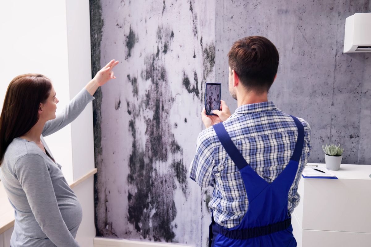 A man and woman stand before a wall marred by a large mold stain, representing a mold removal service consultation.
