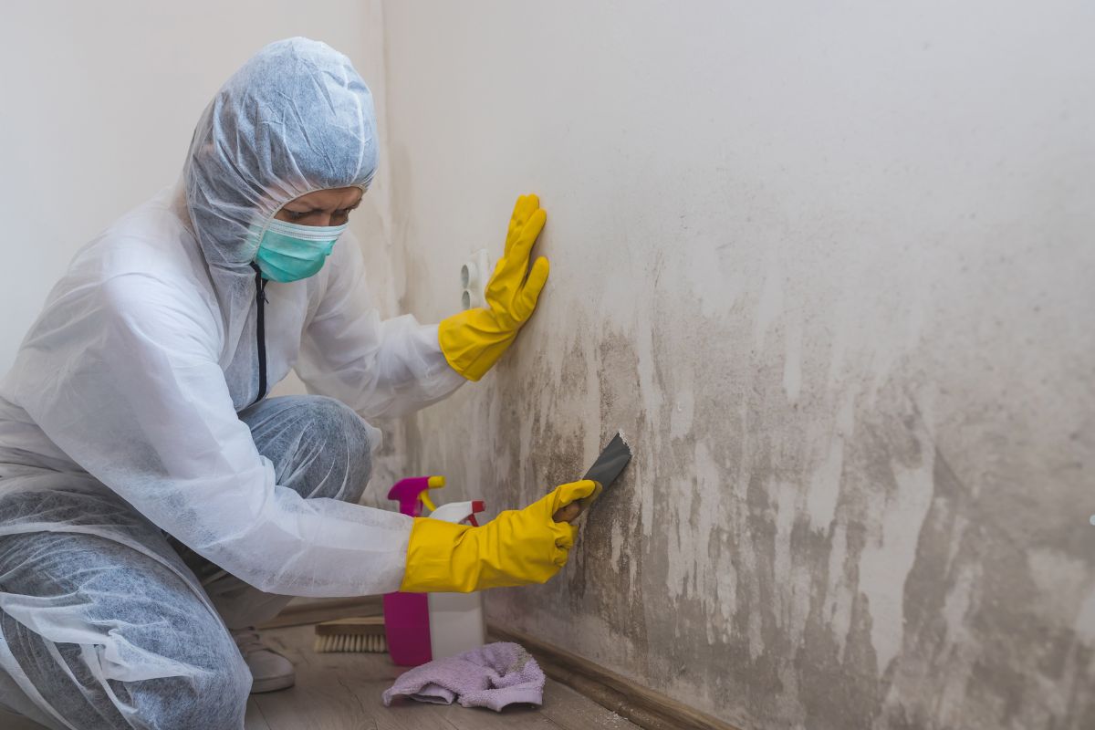  A woman in a white coat and rubber gloves cleans a wall, representing a professional mold removal service in action.