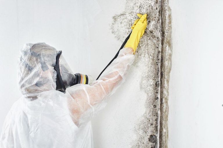 A professional in a white suit and yellow gloves sprays mold treatment on a wall during a mold removal service.