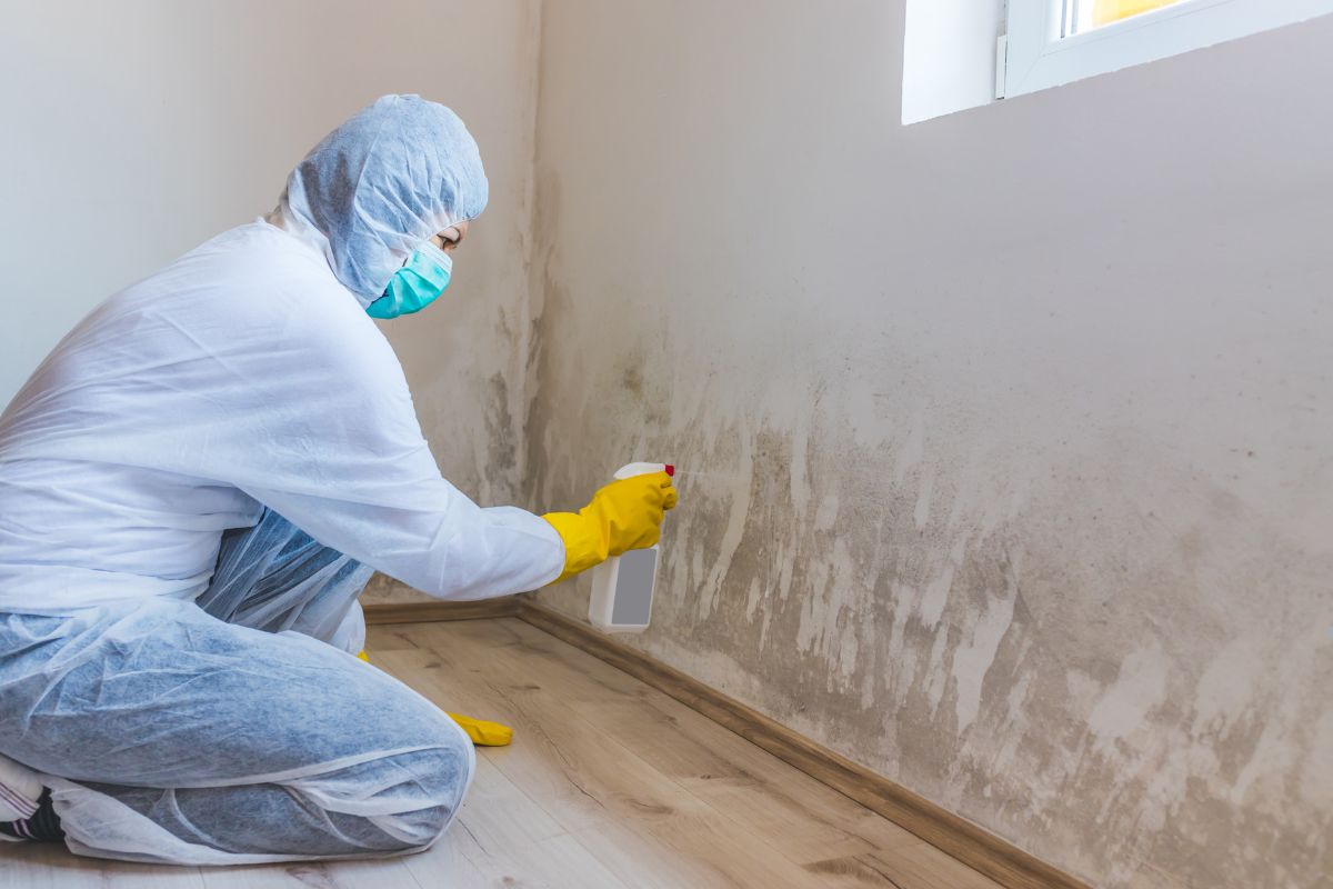 A man in a white suit and protective gear sprays mold treatment on a wall to control mold growth.